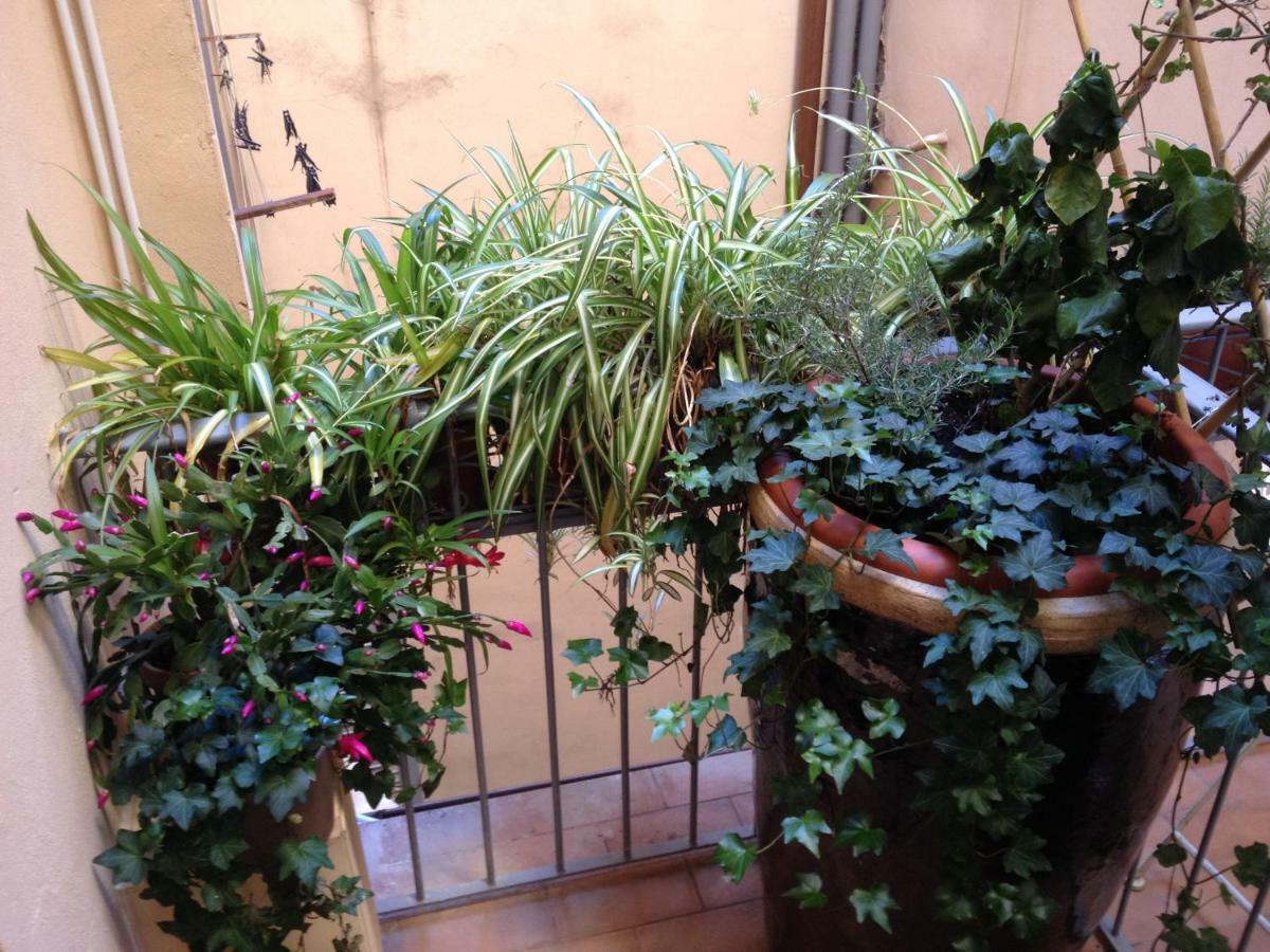 Oasis In The Heart Of Firenze Esterno foto